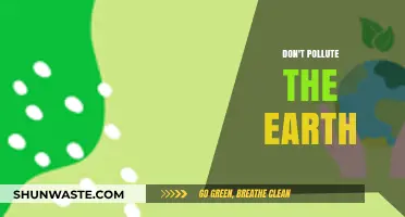 Keep Our Earth Clean: Stop Polluting Now!