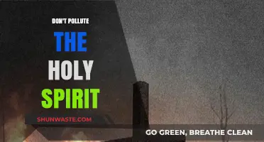 Holy Spirit Pollution: What Not to Do