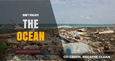 Protect Our Oceans: Stop Polluting the Blue