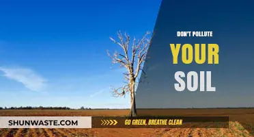 Soil Pollution: Protecting Our Earth's Skin