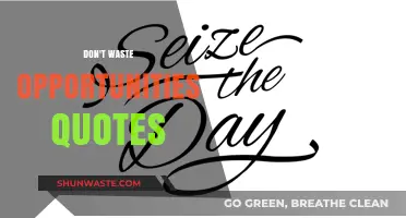 Seize the Day: Inspiring Quotes to Avoid Wasting Opportunities
