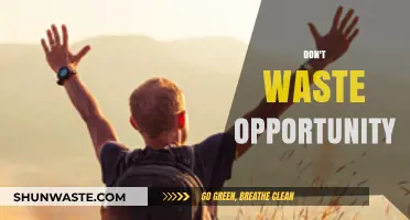 Seize the Moment: Why You Should Never Let Opportunities Slip Away