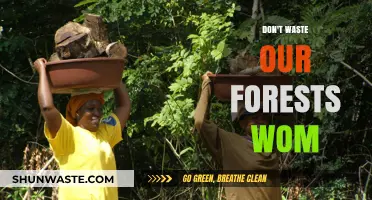Sustainable Forestry: Empowering Women to Protect Our Forests