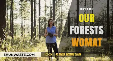 Sustainable Forestry: Empowering Women to Protect Our Forests