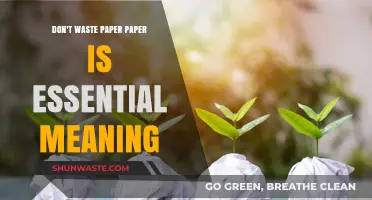 Sustainable Practices: The Indispensable Role of Paper in Our Lives