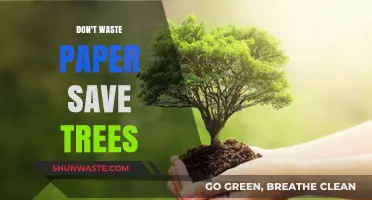 Preserve Nature's Bounty: Embrace Paper Conservation to Save Trees