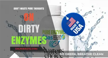 Pure Thoughts, Pristine Enzymes: A Guide to Mental and Molecular Clarity