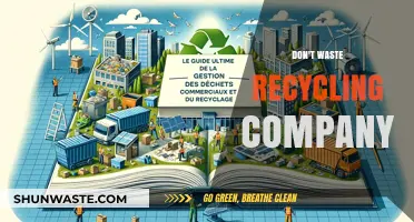 Maximizing Recycling Efficiency: A Guide to Reducing Waste