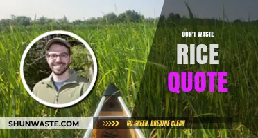Cherishing Every Grain: The Wisdom Behind 'Don't Waste Rice