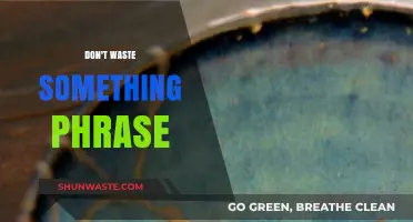 Embracing Imperfection: The Art of Not Wasting a Single Phrase