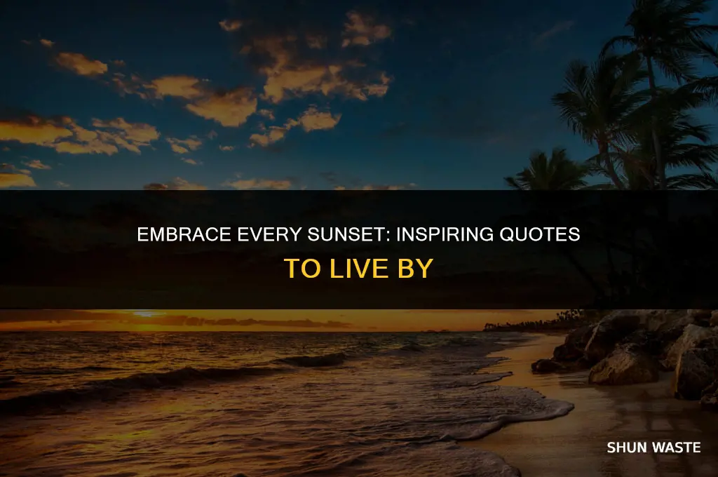 don