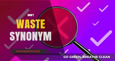 Maximize Your Vocabulary: Alternatives to 'Don't Waste