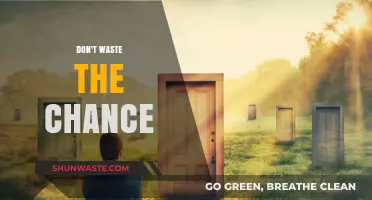 Seize the Moment: Don't Let Opportunity Slip Away