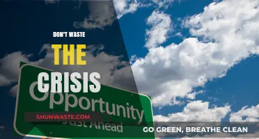 Seize the Moment: Turning Crisis into Opportunity