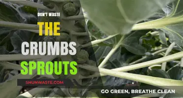 Maximizing Harvest: The Art of Utilizing Every Last Sprout