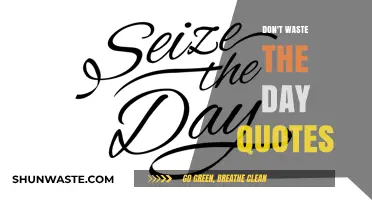 Seize the Day: Inspirational Quotes to Avoid Wasting Time