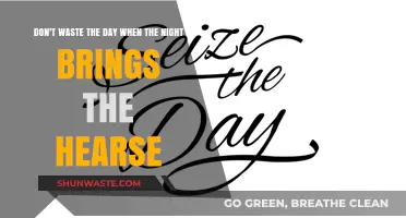 Seize the Day: A Reminder to Live Fully Before Nightfall