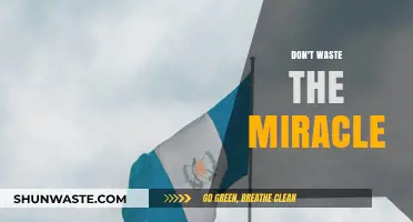 Seize the Miracle: Transforming Potential into Reality