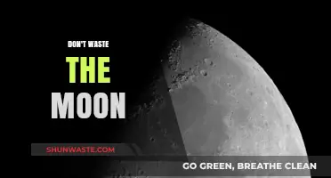 Lunar Legacy: Embracing the Moon's Untapped Potential
