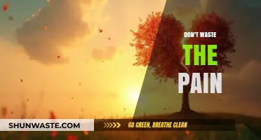 Transforming Heartache: Don't Waste the Pain, Use It to Grow
