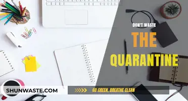 Maximizing Quarantine: Transforming Downtime into Productive Moments