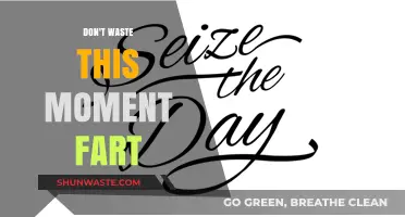 Seize the Day: Why Procrastination Is a Recipe for Regret