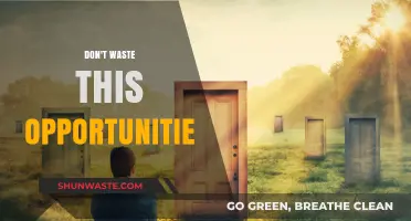 Seize the Moment: Don't Let This Opportunity Slip Away