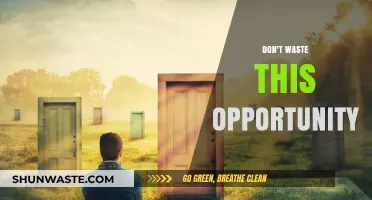 Seize the Moment: Don't Let This Opportunity Slip Away