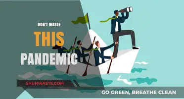 Seize the Crisis: Transforming Pandemic Challenges into Opportunities