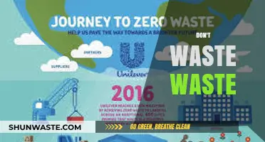 Rethinking Refuse: Innovative Ways to Minimize Waste