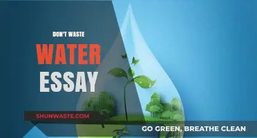 Every Drop Counts: Why We Shouldn't Waste Water