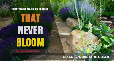 Nurturing Gardens: A Guide to Water-Wise Blooming