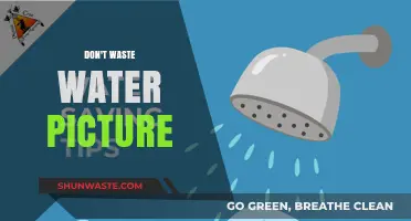 Conserve Every Drop: The Power of Water Conservation Illustrated
