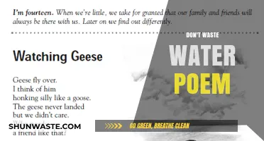 Every Drop Counts: A Poetic Plea to Preserve Water