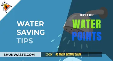 Every Drop Counts: Practical Tips to Reduce Water Waste