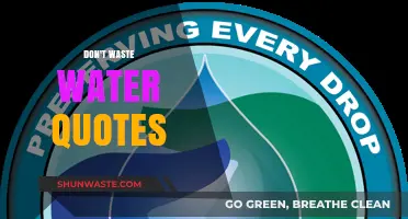 Conserve Every Drop: Inspiring Quotes to End Water Waste