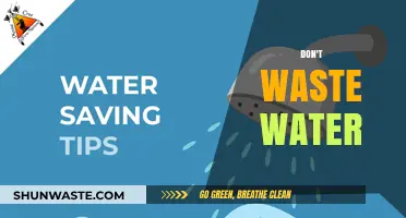 Conserve Every Drop: The Importance of Water Preservation