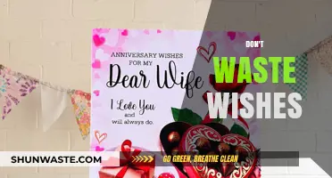 Cherish Every Wish: Make Them Count, Don't Let Them Slip Away