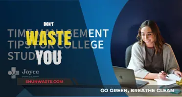 Maximizing Your Potential: A Guide to Avoiding Time Wasters