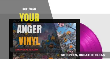 Don't Waste Your Anger: The Vinyl Revolution Revisited