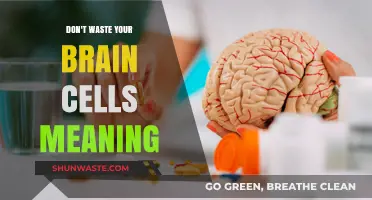 Unleashing Your Mental Potential: Beyond the Myth of Wasted Brain Cells