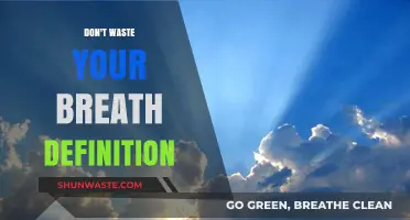 Understanding the Idiom 'Don't Waste Your Breath': A Comprehensive Guide