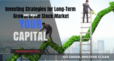 Maximize Your Investments: Strategies to Avoid Wasting Capital