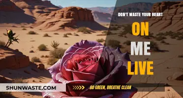 Don't Waste Your Heart on Me Live: A Journey Through Emotional Turmoil