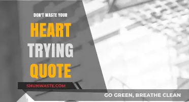 Don't Waste Your Heart: Embracing Worthy Love and Letting Go