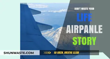 Maximizing Your Potential: Lessons from the Airplane Story