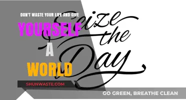 Seize the Day: Crafting a Life of Purpose and Fulfillment