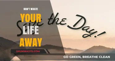 Seize the Day: Don't Let Procrastination Steal Your Potential