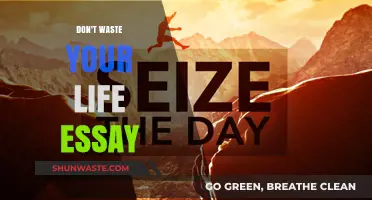 Seize the Day: An Essay on Living Life to the Fullest