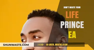 Seize the Day: Prince Ea's Guide to Living Life Fully